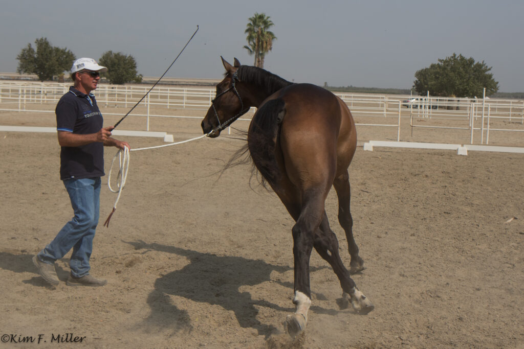 ground manners