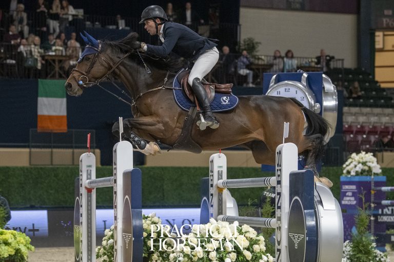 Washington International Horse Show